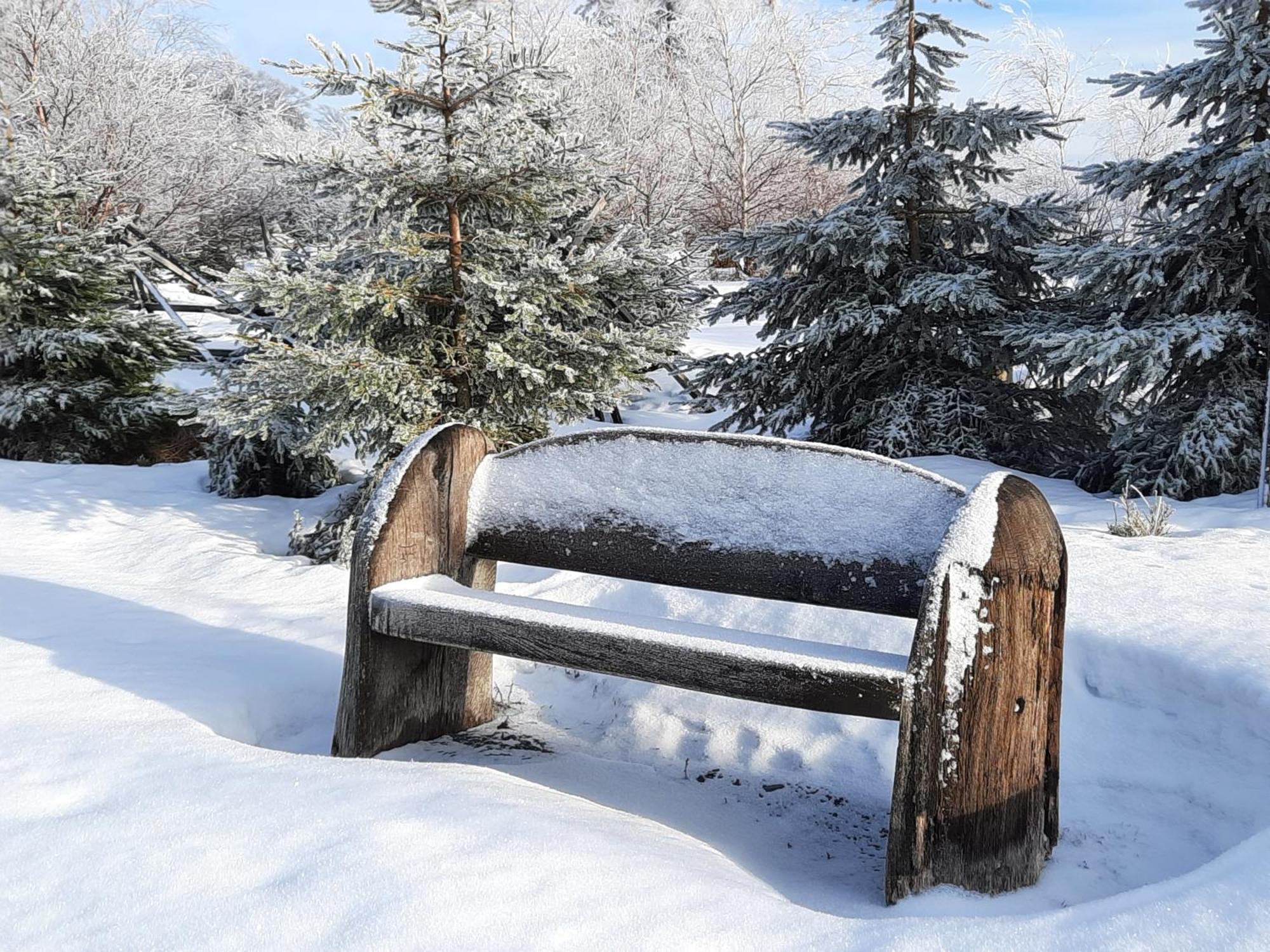 Cafe- Pension Fernblick, Incl Meinecardplus Willingen  Luaran gambar